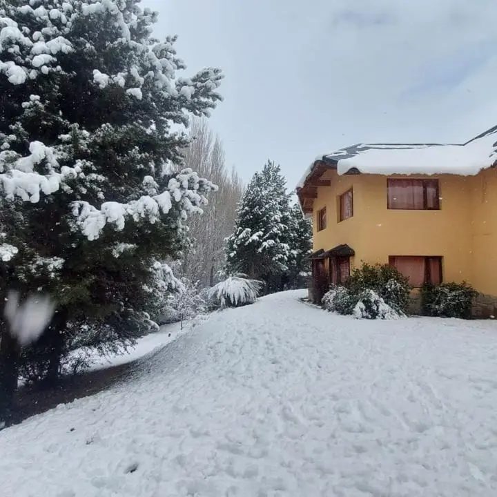Uno de los aparts entre pinos cubiertos de nieve